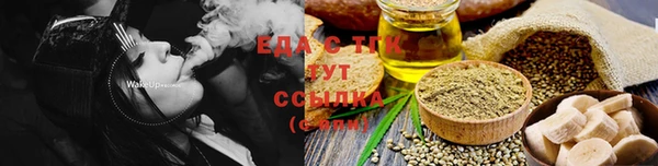 шишки Каменка
