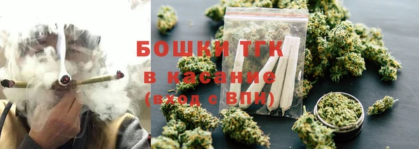 шишки Каменка