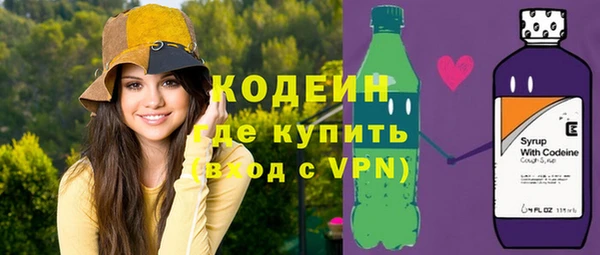 шишки Каменка