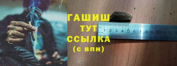 шишки Каменка
